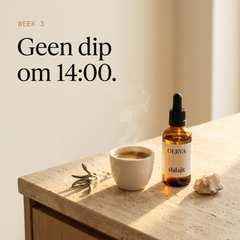 Week 3 — geen dip om 14:00, ochtend ritueel